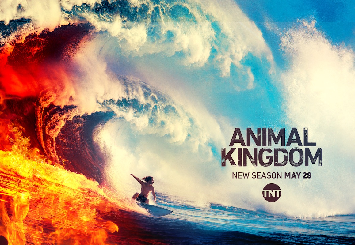 https://static.cdn.turner.com/2019-05/LANDSCAPE_AW_Animal_Kingdom_0.jpg