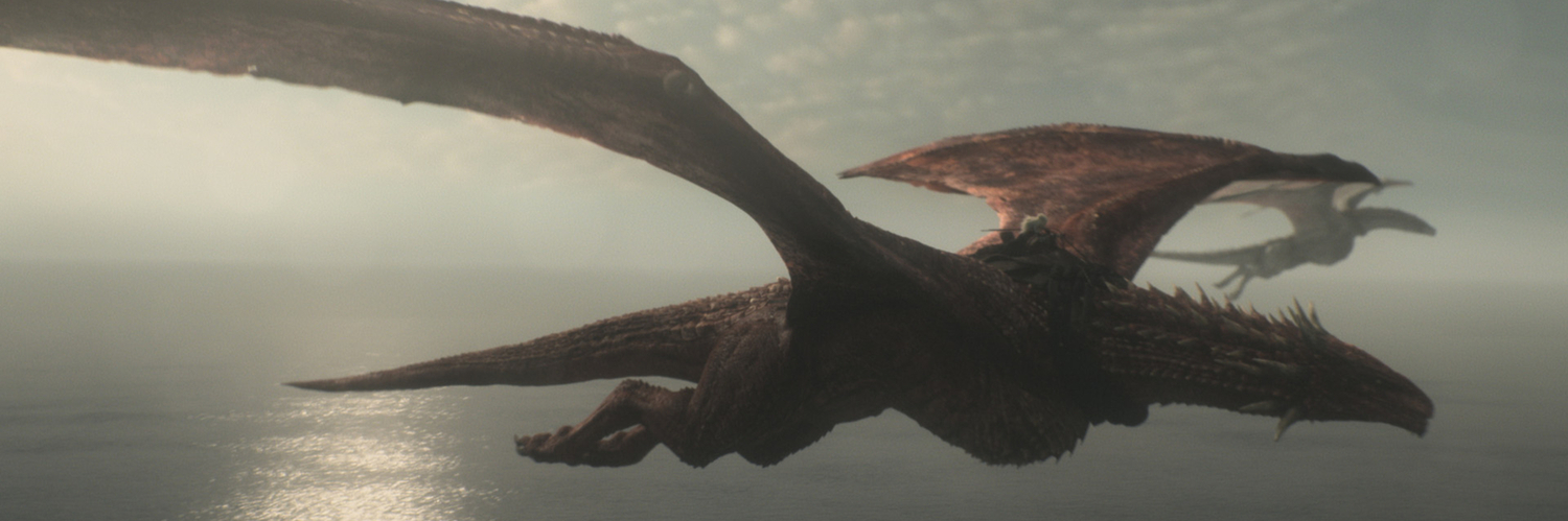 Inside the Many Worlds of Max