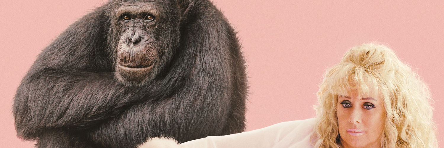 Chimp