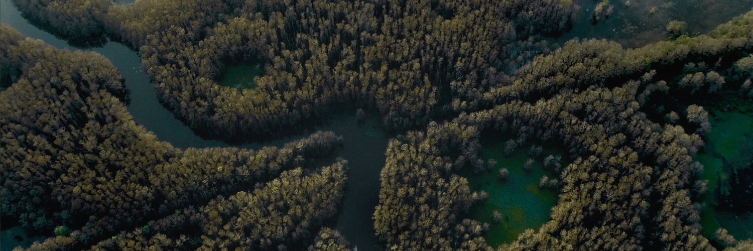 Caddo Lake