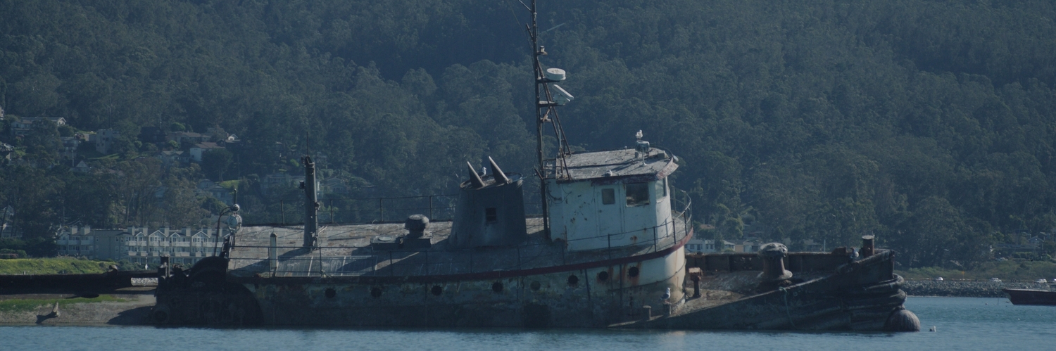 Zizians Documentary Series Set At HBO