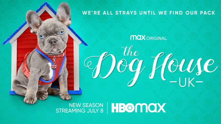 The Dog House: UK Season Two Synopses