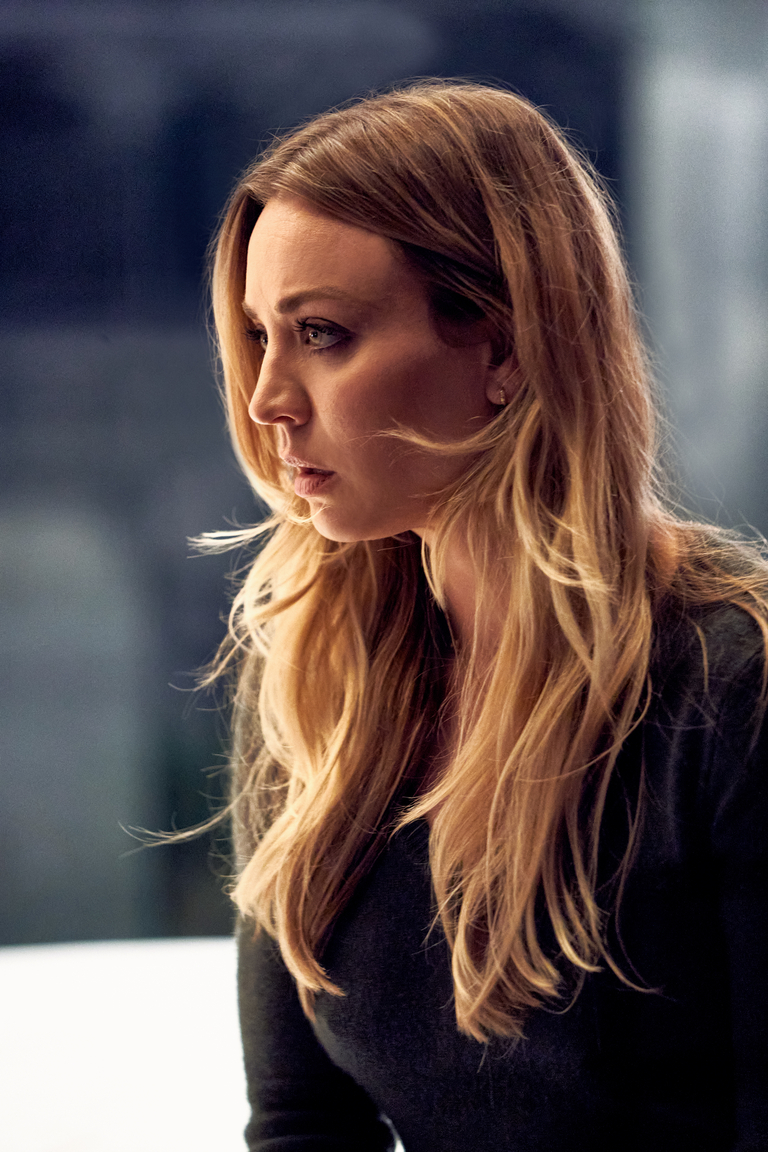 THE FLIGHT ATTENDANT