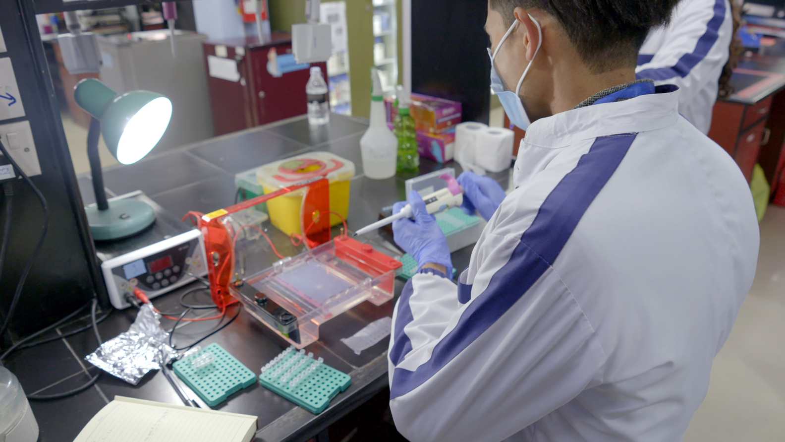 Coronavirus suspected samples in a lab in Kathmandu, Nepal