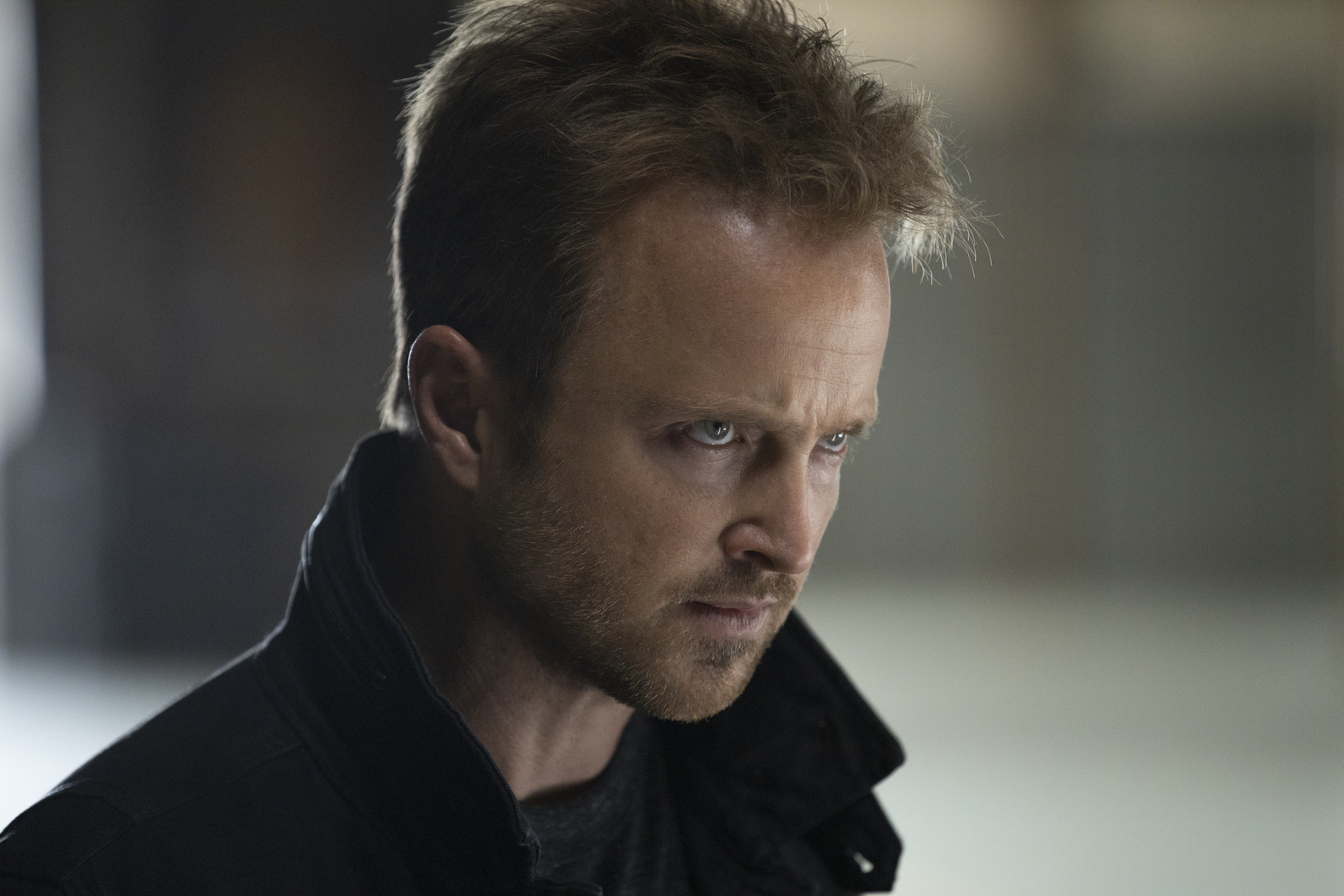 Aaron Paul
