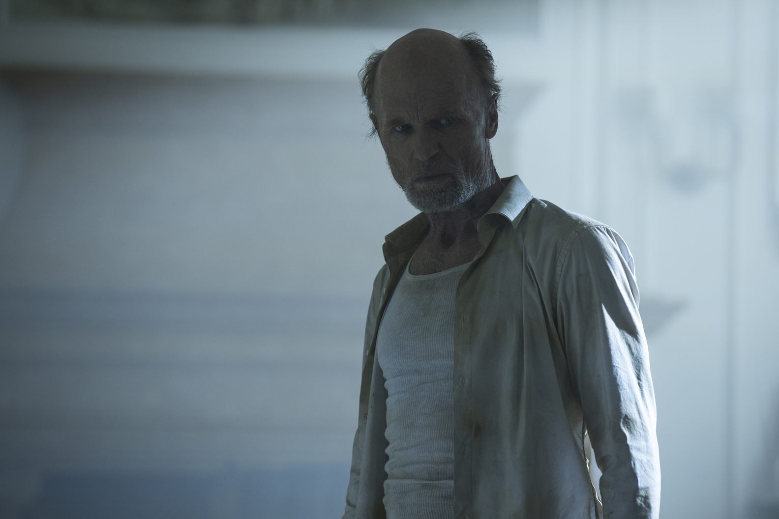 Ed Harris