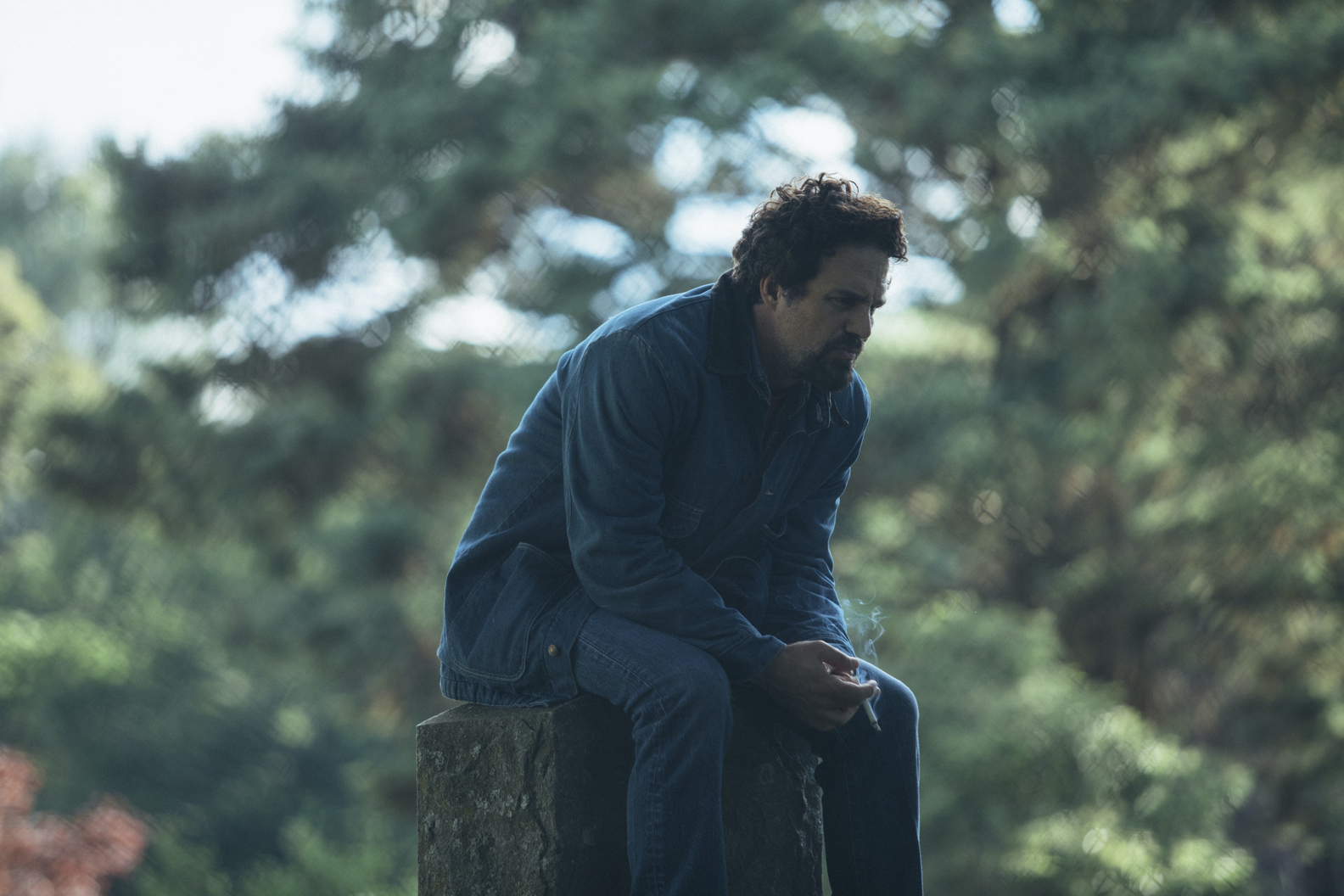 Mark Ruffalo
