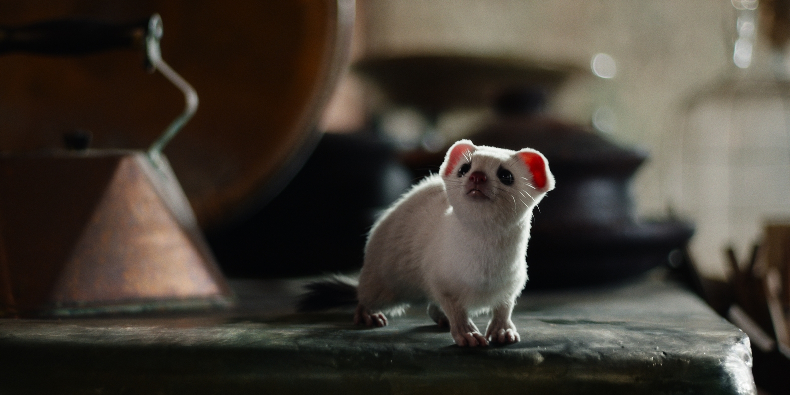 His Dark Materials