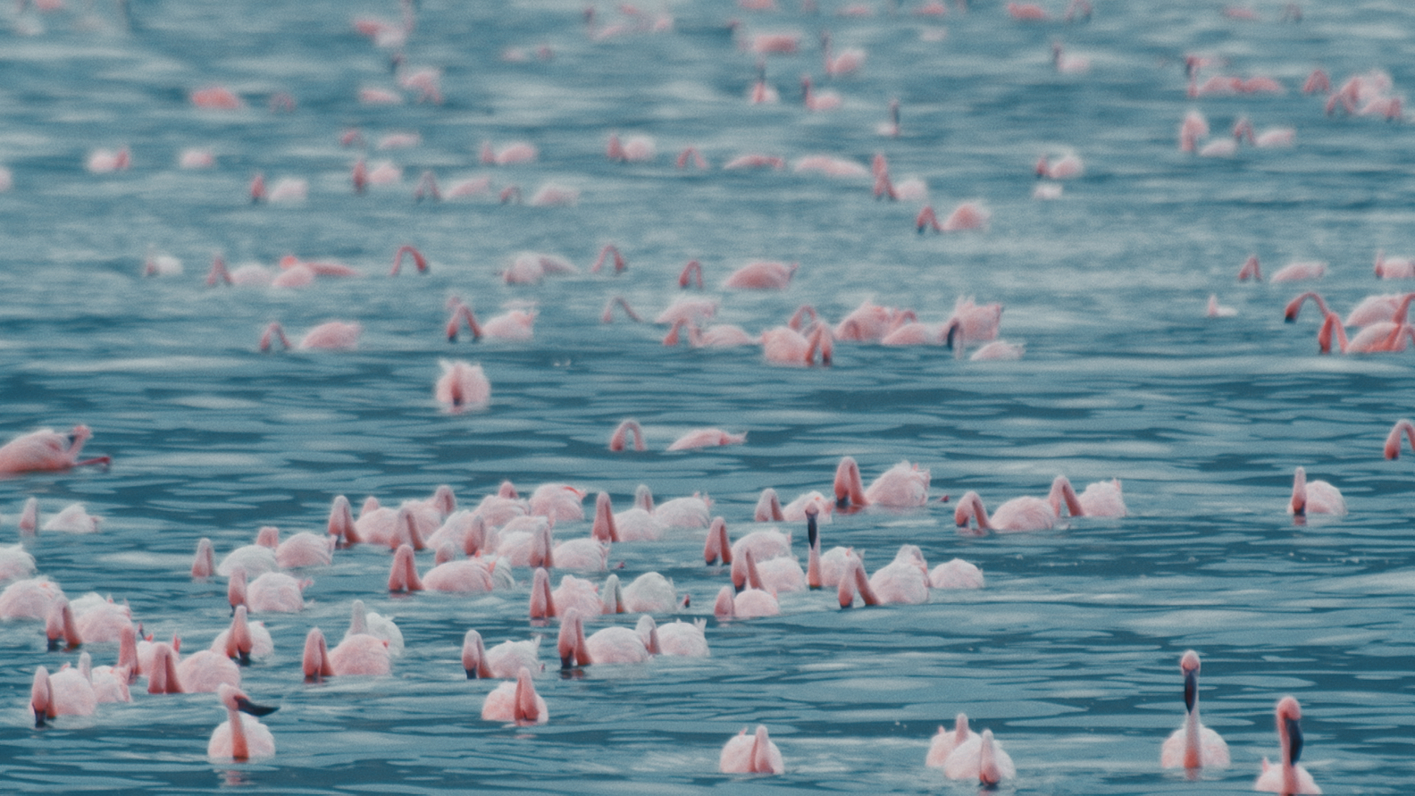 A WORLD OF CALM
