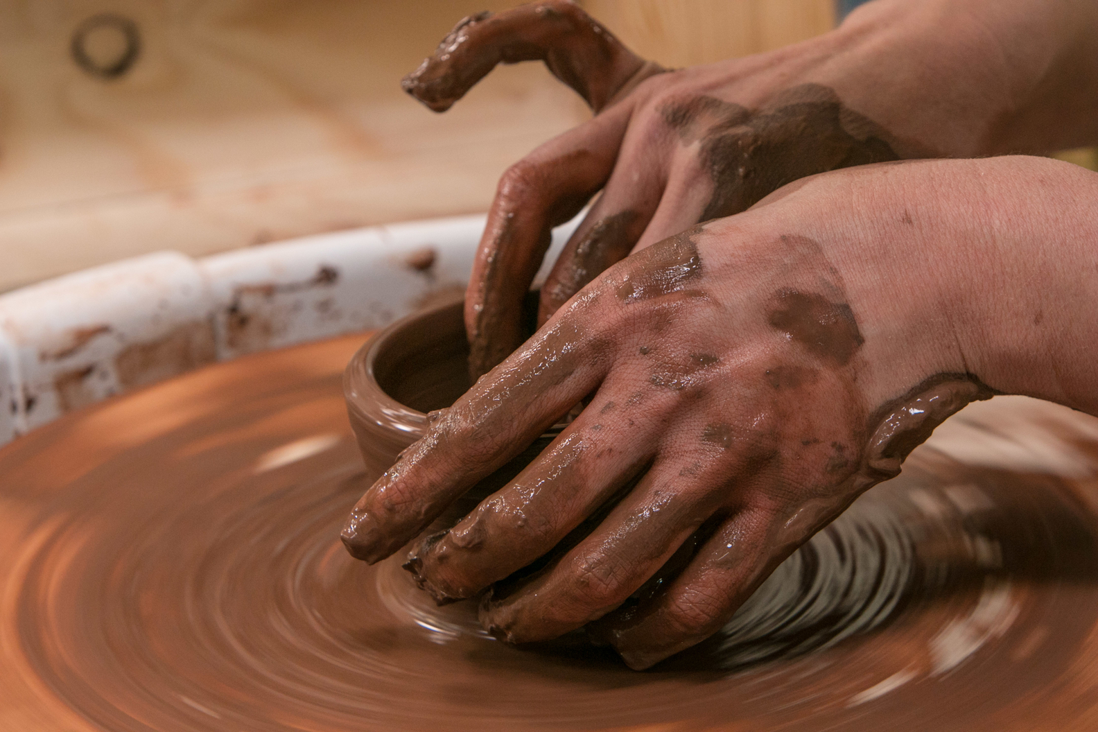 THE GREAT POTTERY THROW DOWN