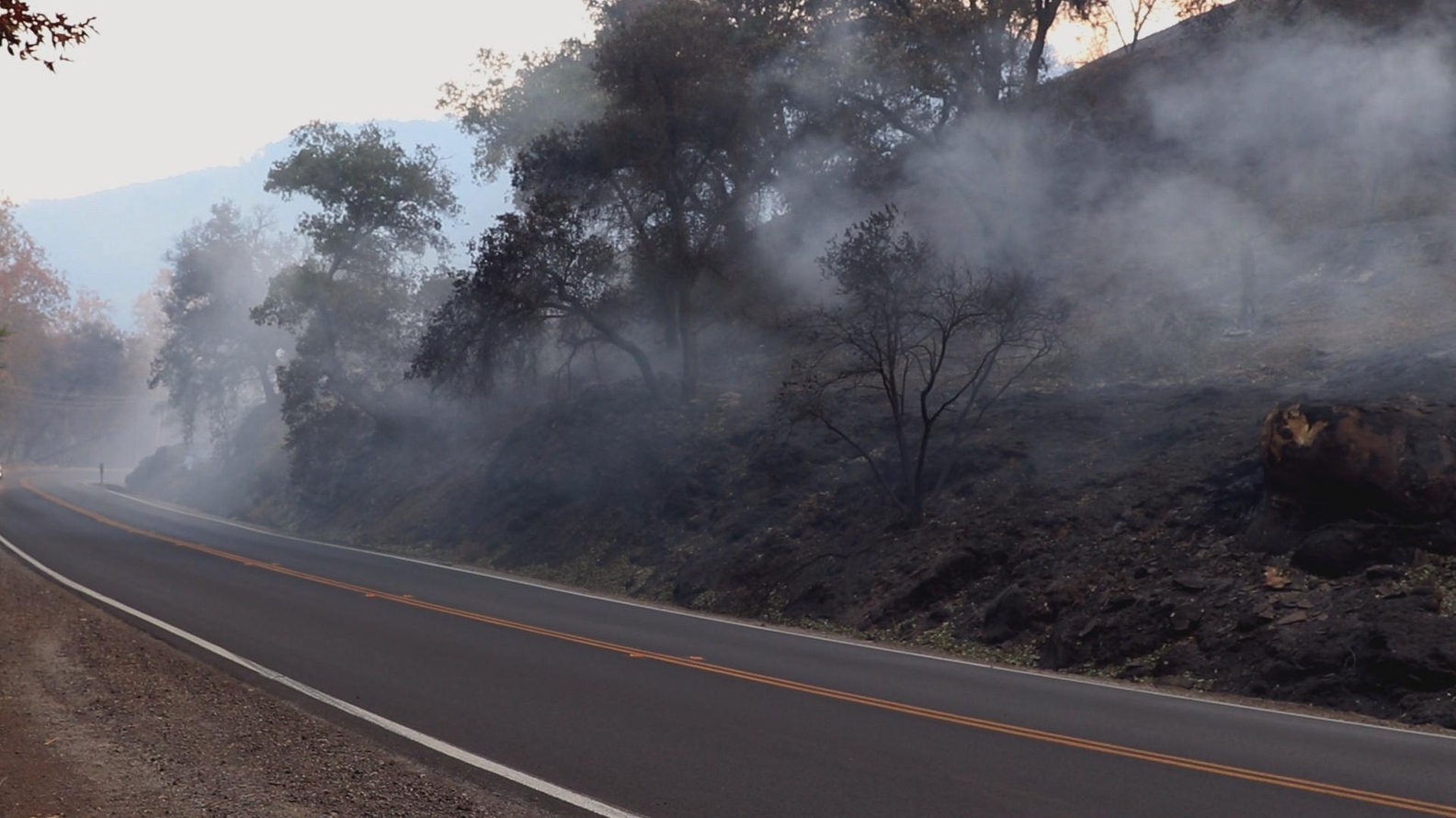 Smoke along the road in Ojai, CA