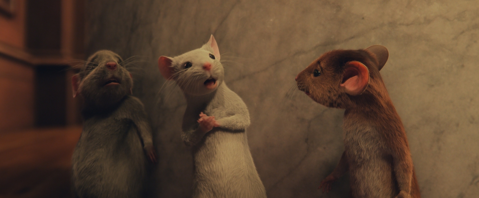 The three mice