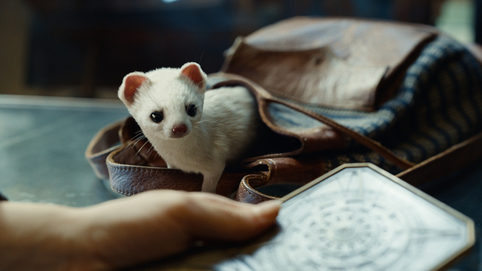His Dark Materials