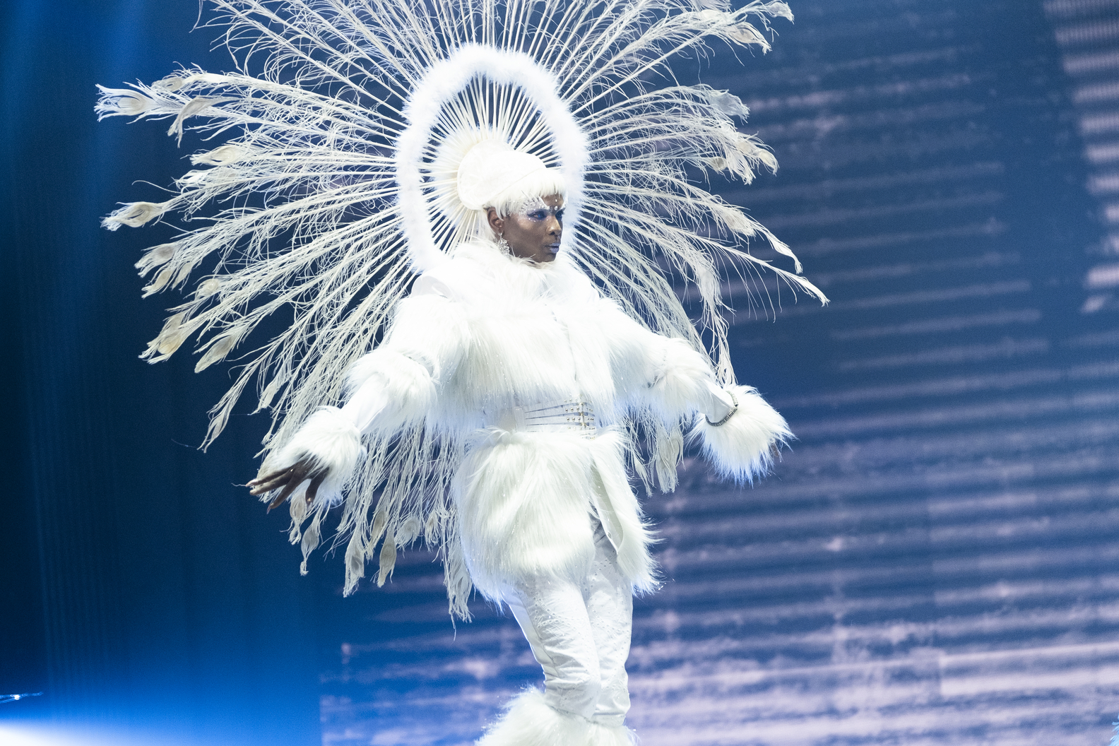 Contestant