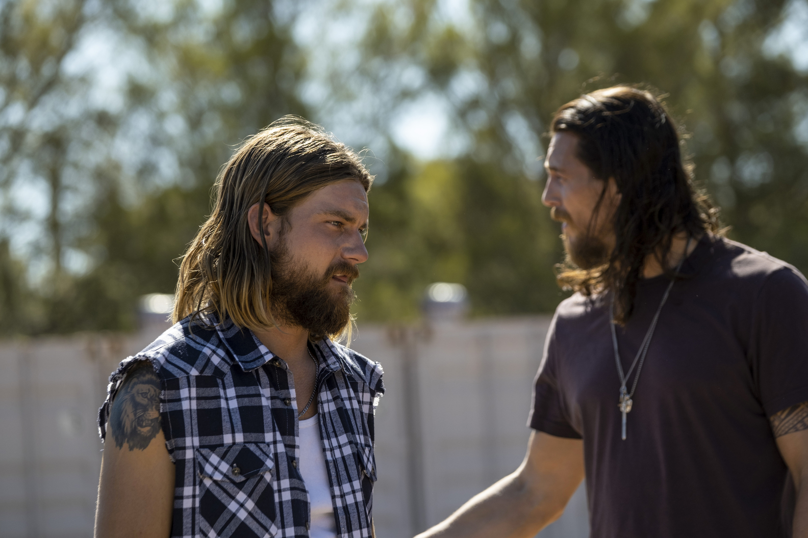 BEN ROBSON, JAKE WEARY
