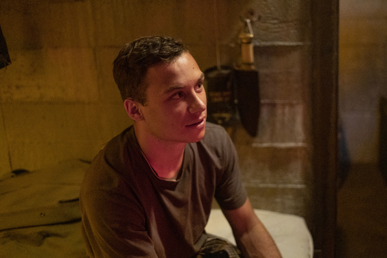 ANIMAL KINGDOM 412