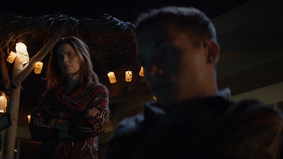 ANIMAL KINGDOM 412