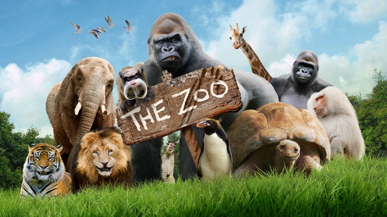 Der Zoo