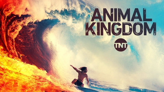 Animal Kingdom