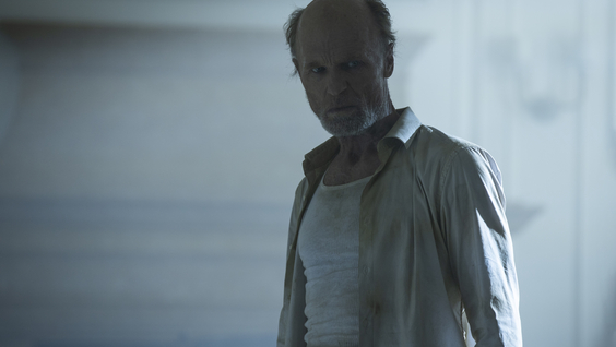 Ed Harris
