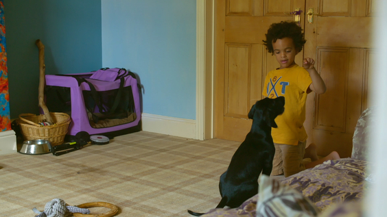 The Dog House