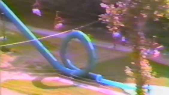 Class Action Park