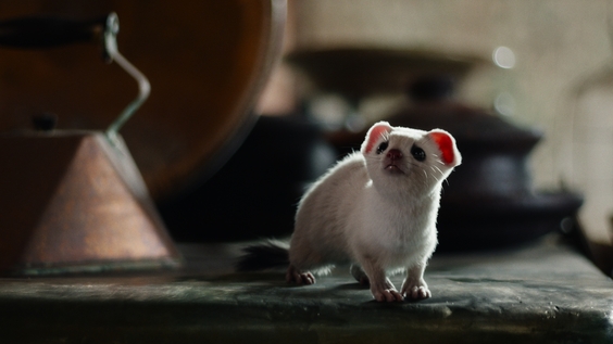 His Dark Materials