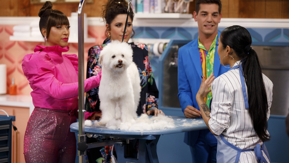 HAUTE DOG
