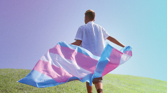 HBO’s TRANSHOOD Debuts November 12