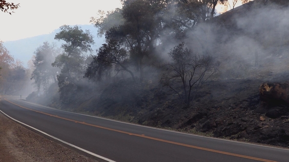 Smoke along the road in Ojai, CA