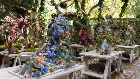 Full Bloom