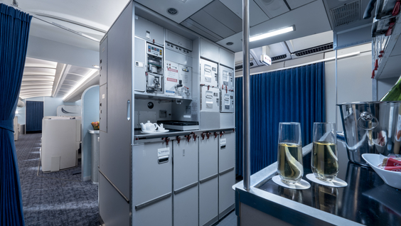 THE FLIGHT ATTENDANT