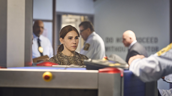 THE FLIGHT ATTENDANT