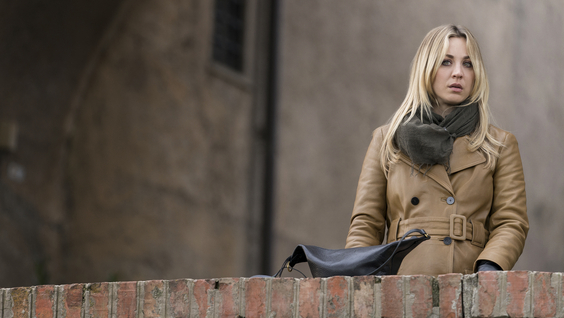 THE FLIGHT ATTENDANT
