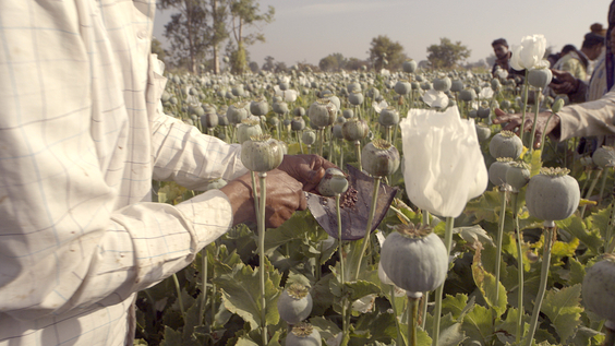 The Crime of the Century