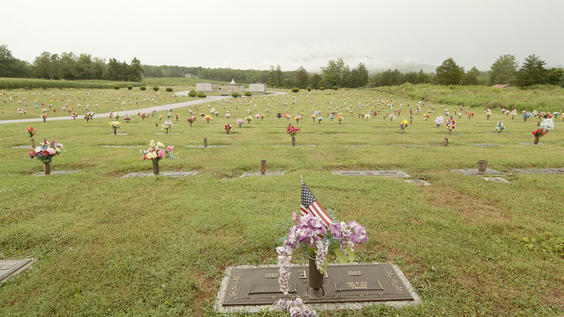 The Crime of the Century