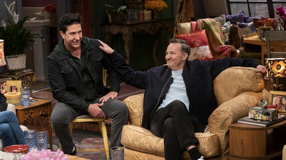 David Schwimmer, Matthew Perry