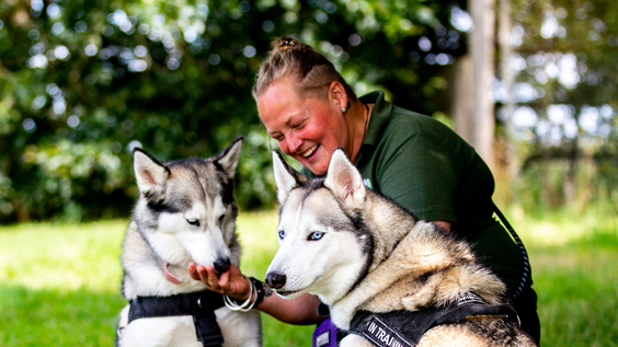 The Dog House: UK