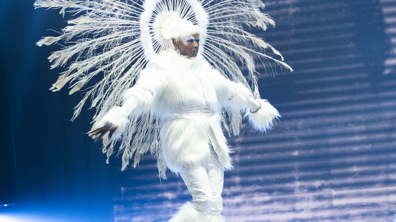 Contestant
