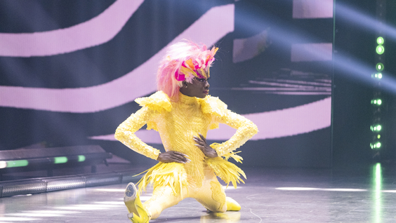 Contestant