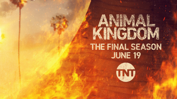 TNT Releases Key Art for the 6th and Final Season of “Animal Kingdom”