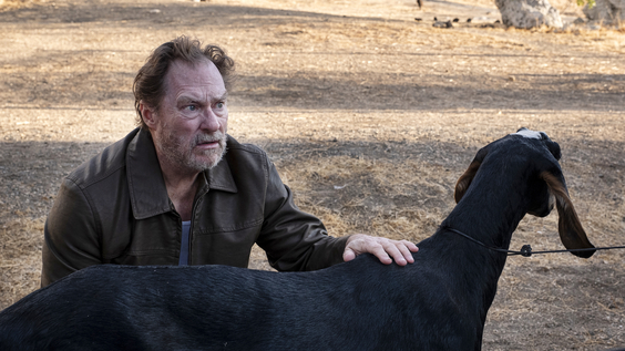 Stephen Root
