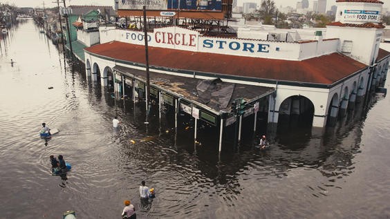 Katrina Babies