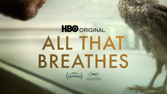 HBO Documentary ALL THAT BREATHES, Oscar Nominated For Best Documentary Feature Film, Debuts February 7