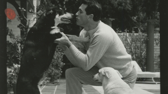 Rock Hudson at home with one of his many beloved dogs (1960s)