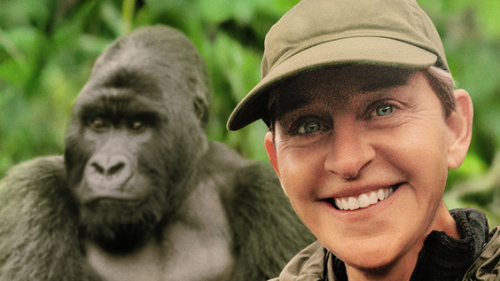 Discovery Channel Premieres Saving the Gorillas: Ellen's Next Adventure on Saturday, September 23 at 8PM ET/PT