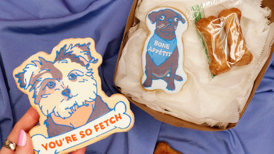 ANIMAL PLANET DRIVES IMPACT FOR PET ADOPTION WITH PARTNERSHIPS TO CELEBRATE 20 YEARS OF PUPPY BOWL 