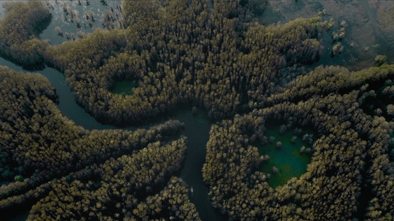 Max Original Film CADDO LAKE Debuts October 10