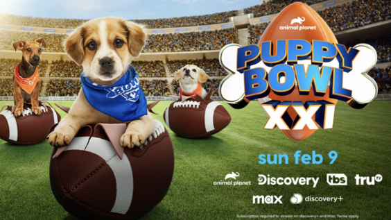 RESCUE PUPS GO FROM SHELTER TO STARDOM IN PUPPY BOWL XXI ON SUNDAY, FEBRUARY 9 AT 2PM ET/11AM PT 