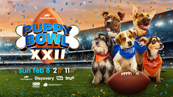 THE CUTEST SHOWDOWN IN SPORTS PUPPY BOWL XXII RETURNS ON SUNDAY, FEBRUARY 8 AT 2PM ET/11AM PT  